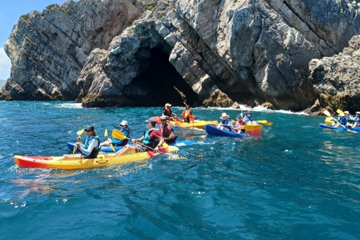 a group of people swimming in a body of water