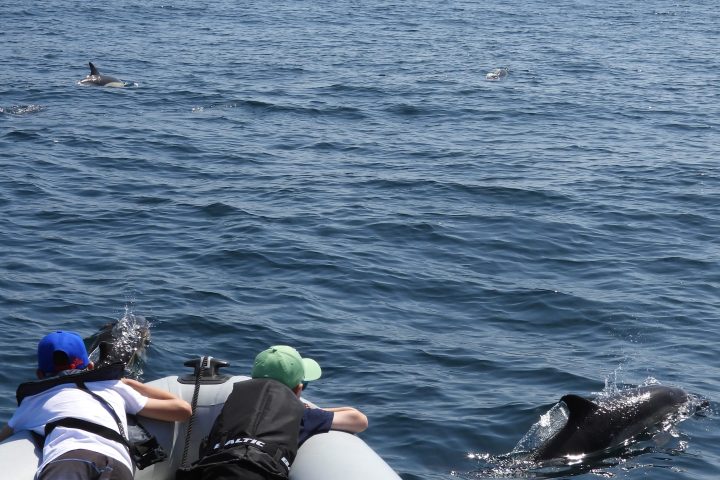 a man sitting next to a body of water