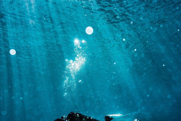 a person swimming in the water