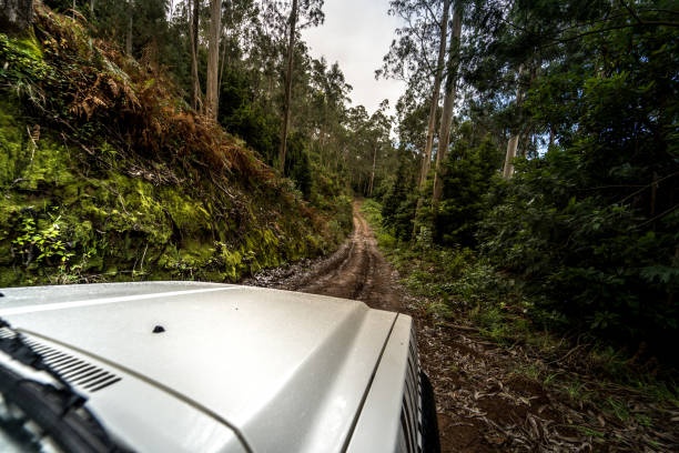 a car parked on the side of the road