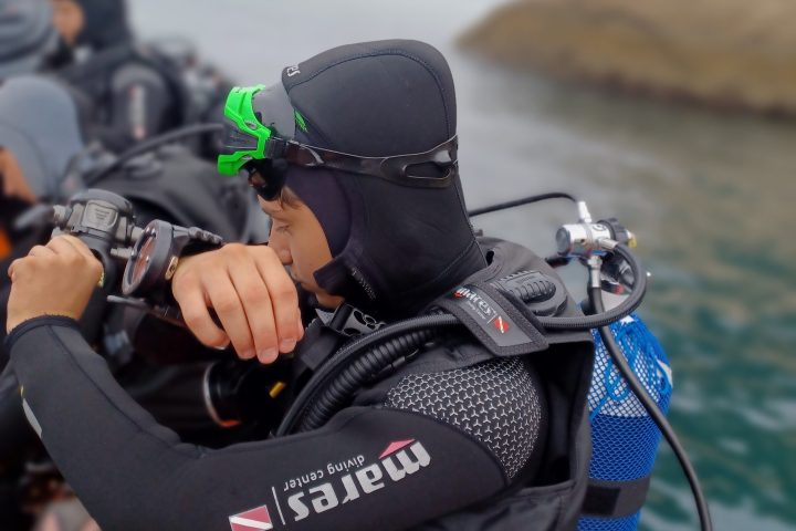 a person wearing a costume