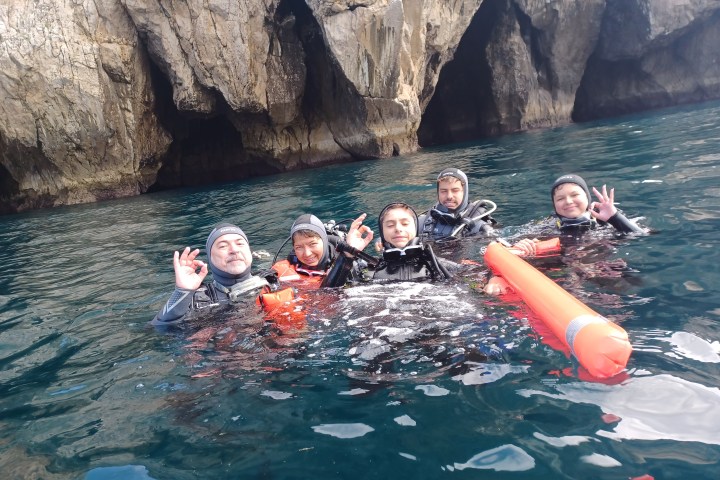 a group of people swimming in the water