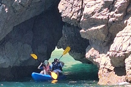 a close up of a large rock in a pool of water