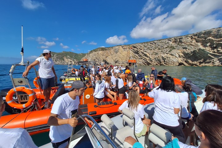 a group of people riding skis on top of a mountain
