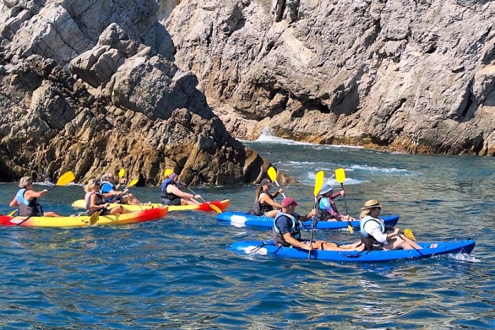 a group of people rowing a boat in the water