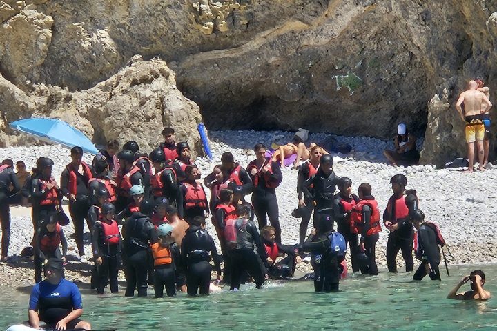 a group of people swimming in the water