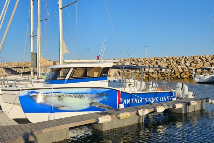 Docked sailboat with blue water-themed design and clear sky.