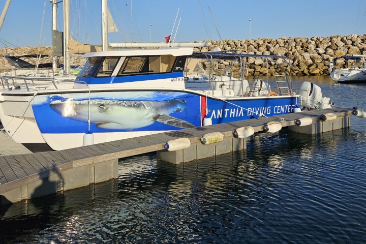 Boat with a shark image on the side docked at a marina.