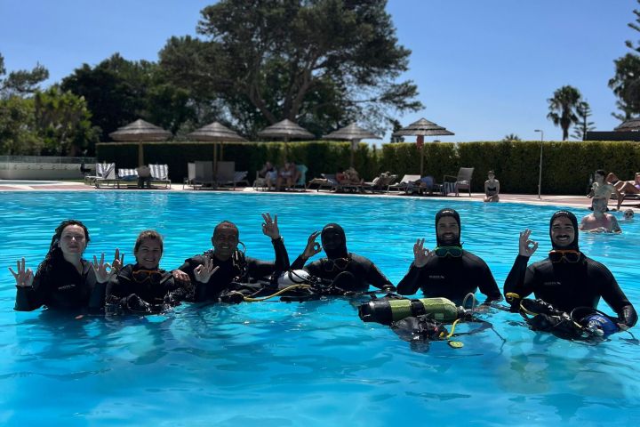 a group of people swimming in a pool of water