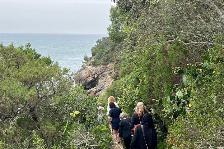 a group of people standing next to a tree