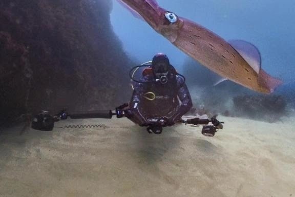 a man sitting on top of a snow covered mountain