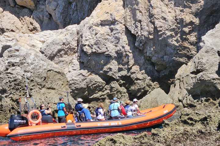 a group of people on a rocky beach