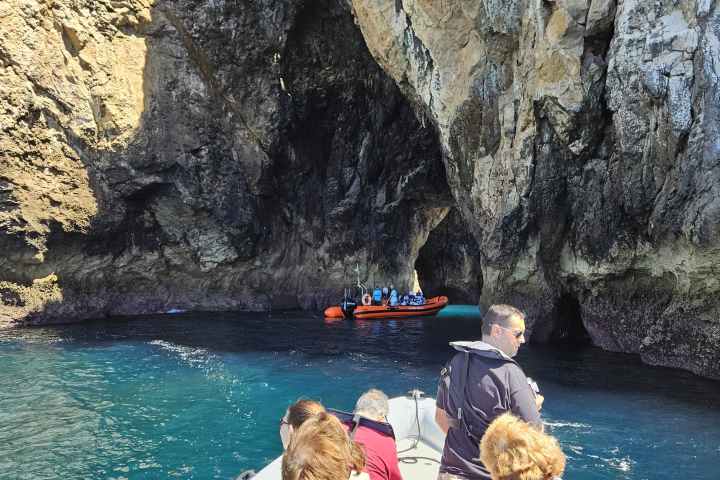 a group of people that are standing in the water
